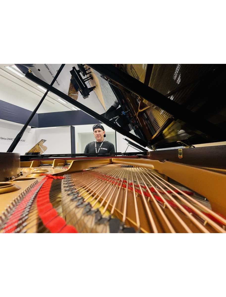 popular-vendors-detail