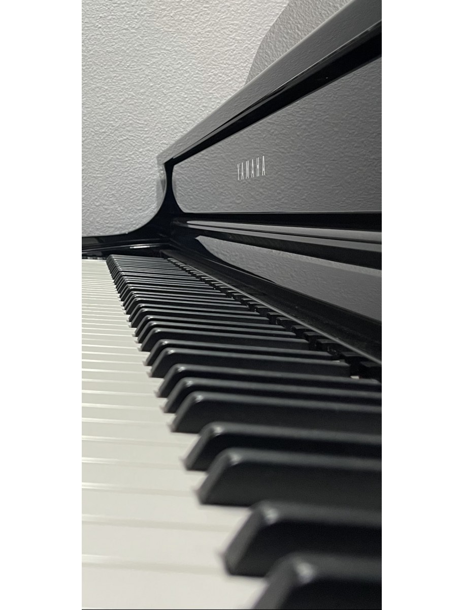 popular-vendors-detail