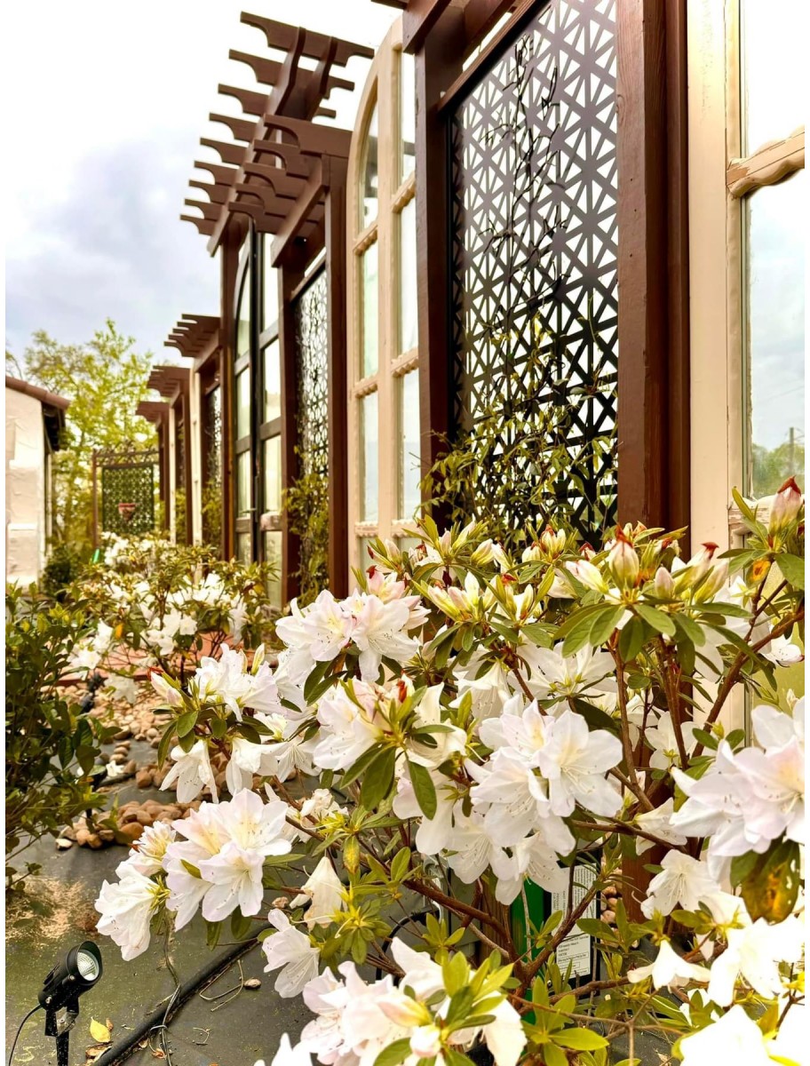 popular-vendors-detail