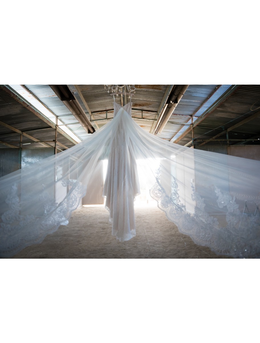 popular-vendors-detail