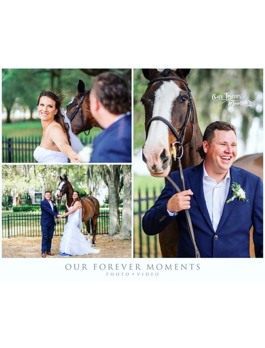 popular-vendors-detail