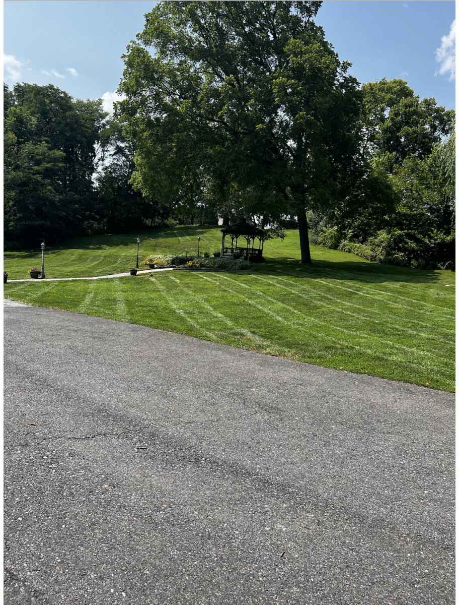 popular-vendors-detail