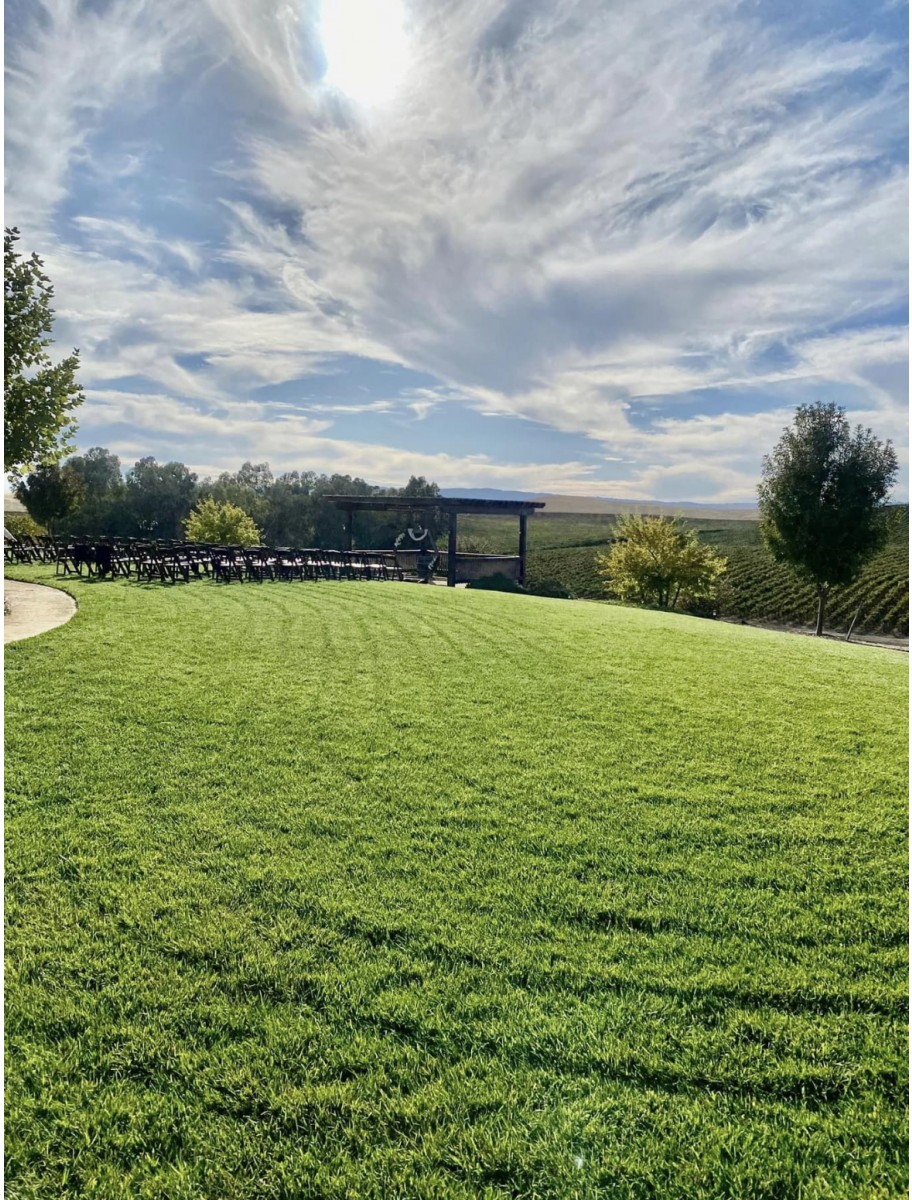 popular-vendors-detail