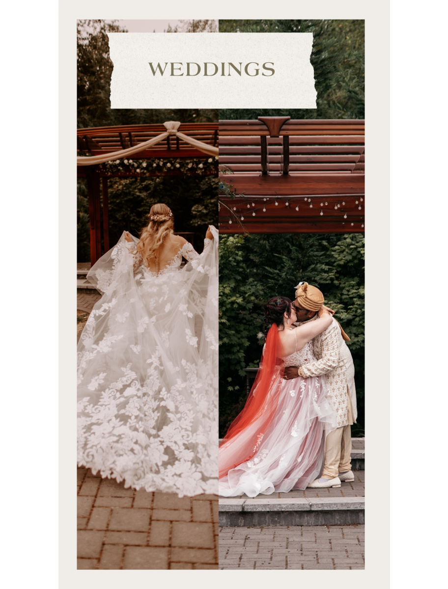 popular-vendors-detail