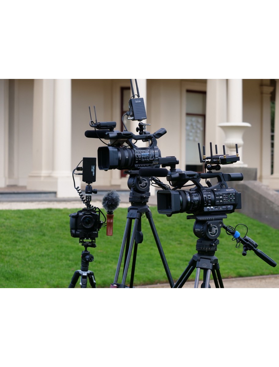 popular-vendors-detail