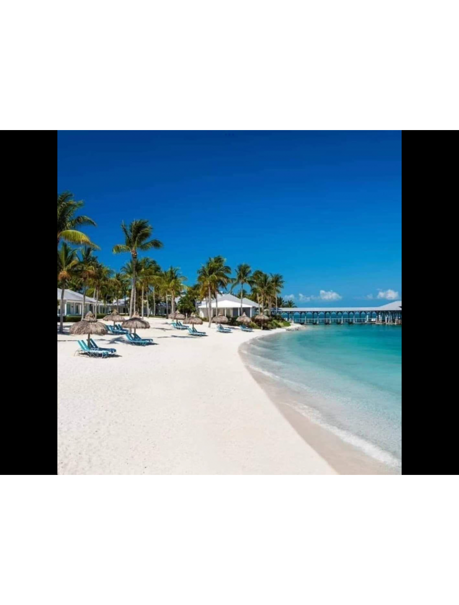 popular-vendors-detail