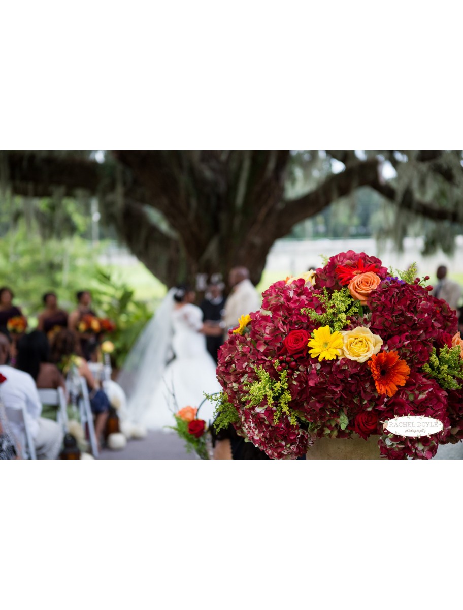 popular-vendors-detail