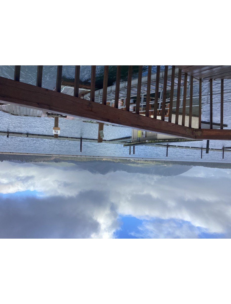 popular-vendors-detail