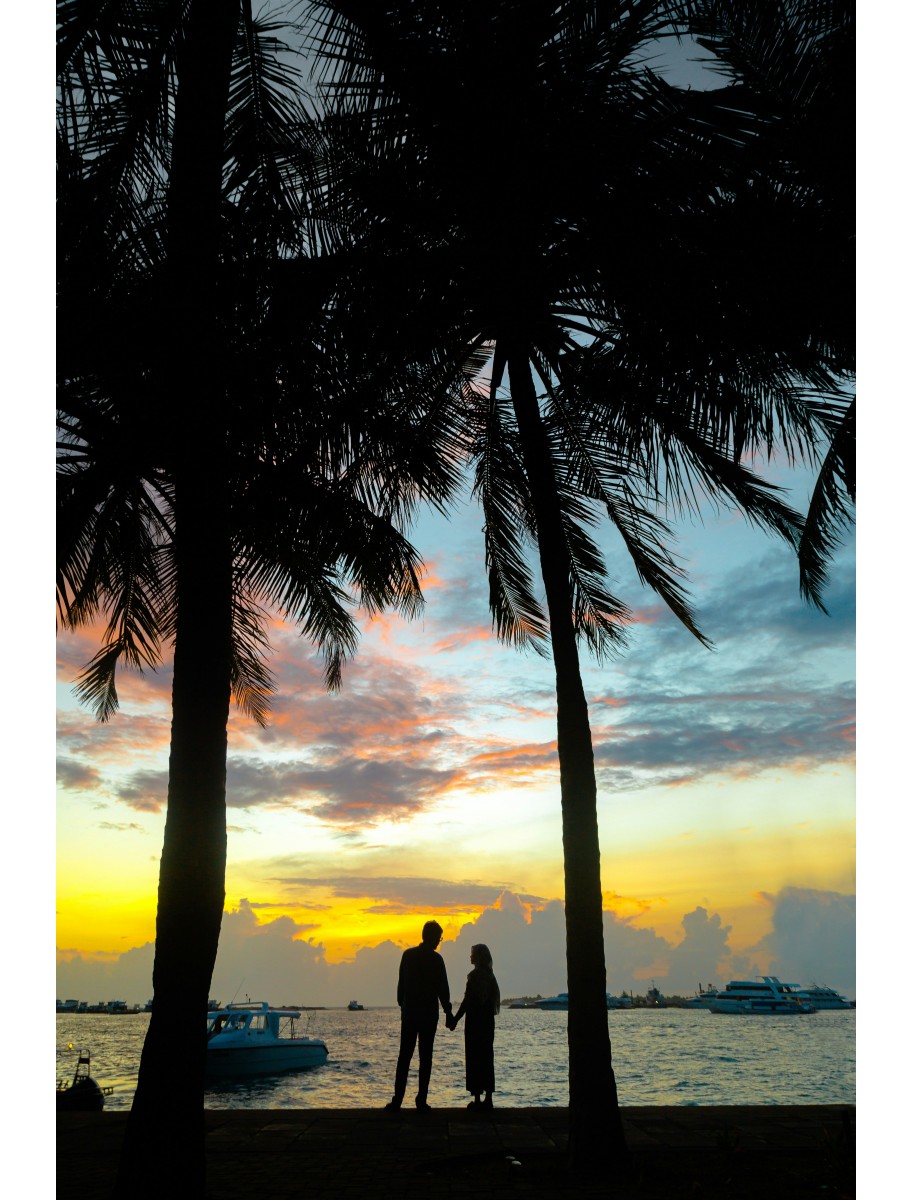 popular-vendors-detail