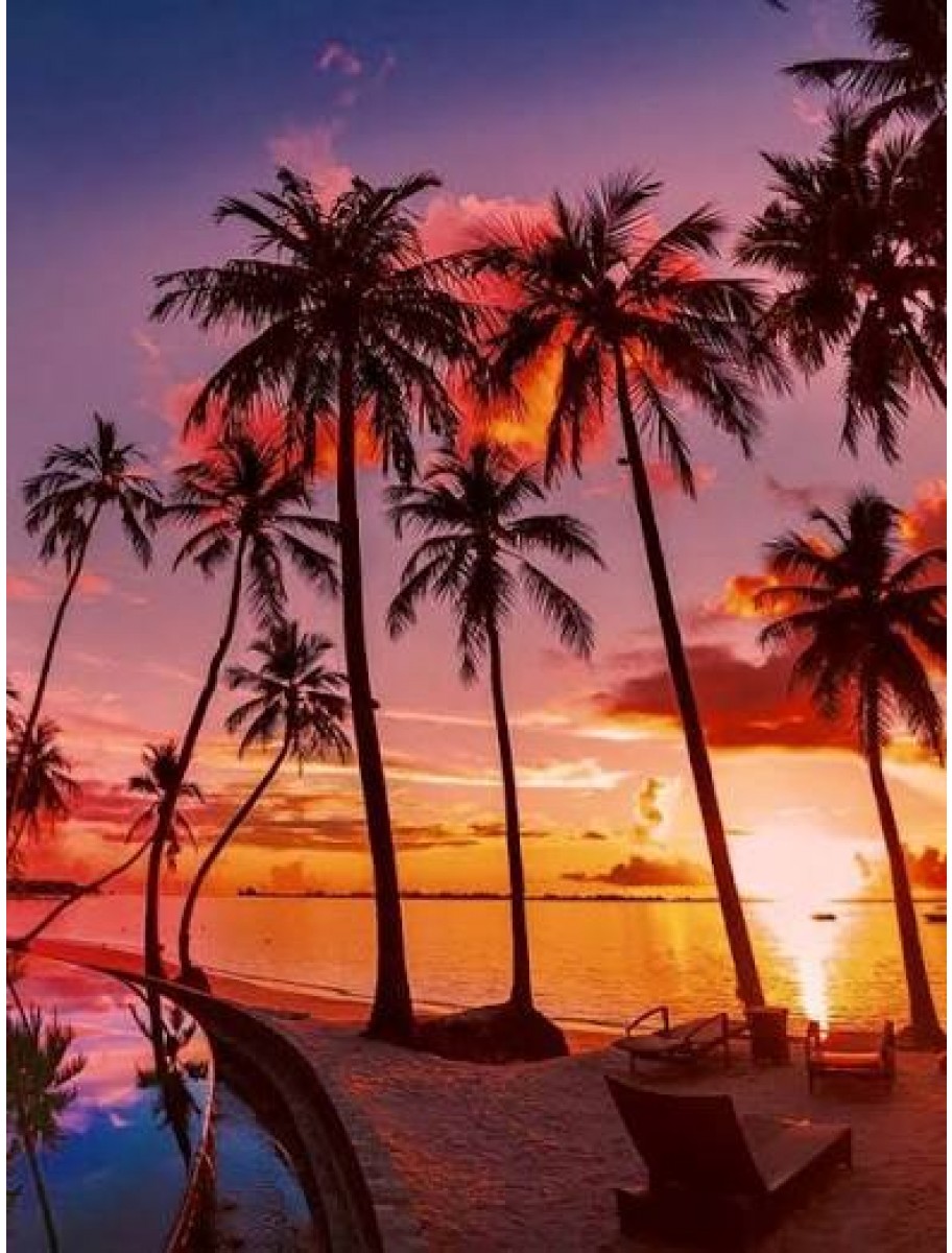 popular-vendors-detail