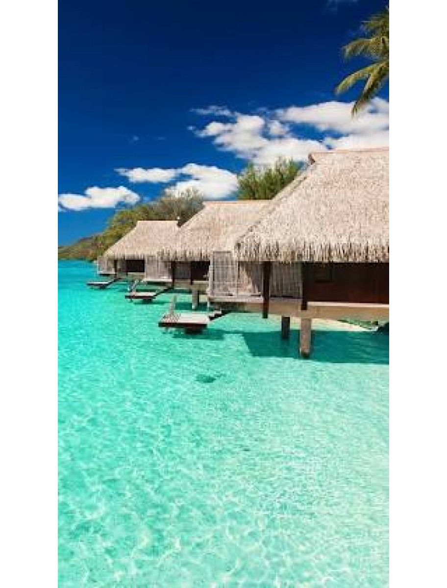 popular-vendors-detail