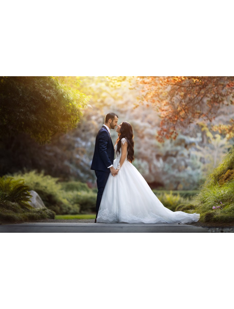 popular-vendors-detail