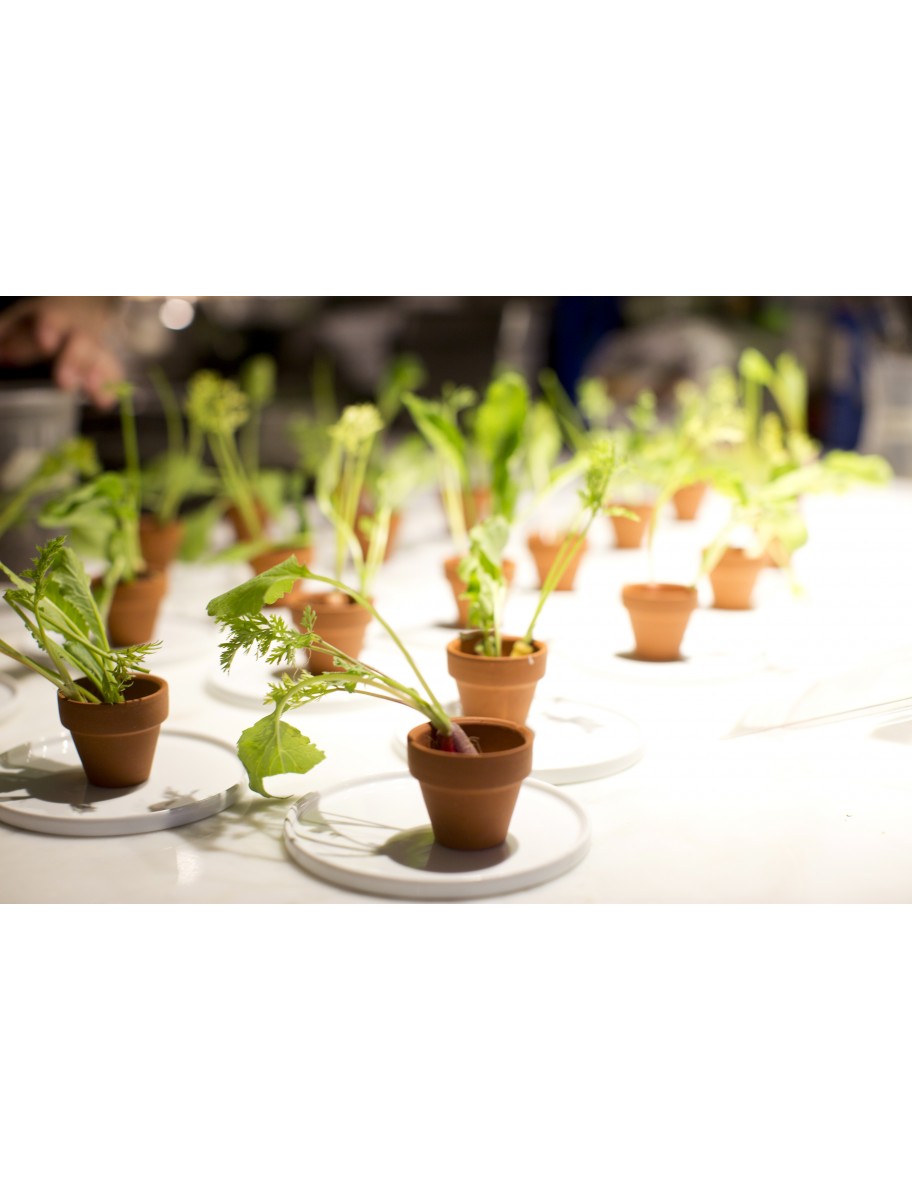 popular-vendors-detail