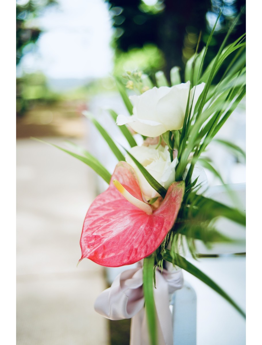 popular-vendors-detail