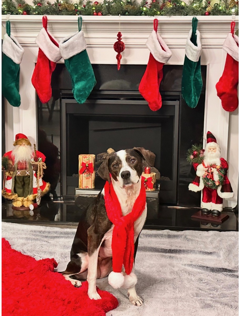 popular-vendors-detail