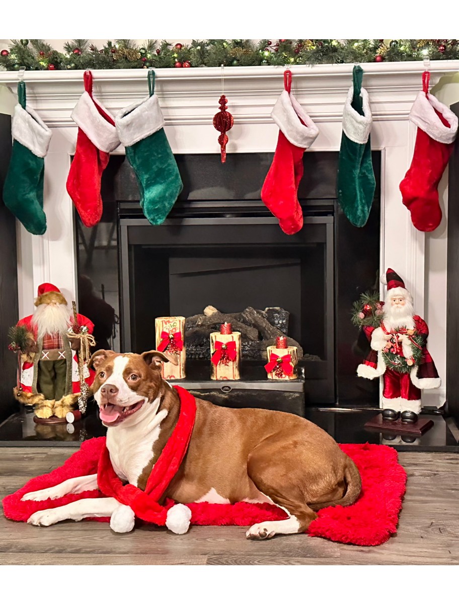 popular-vendors-detail