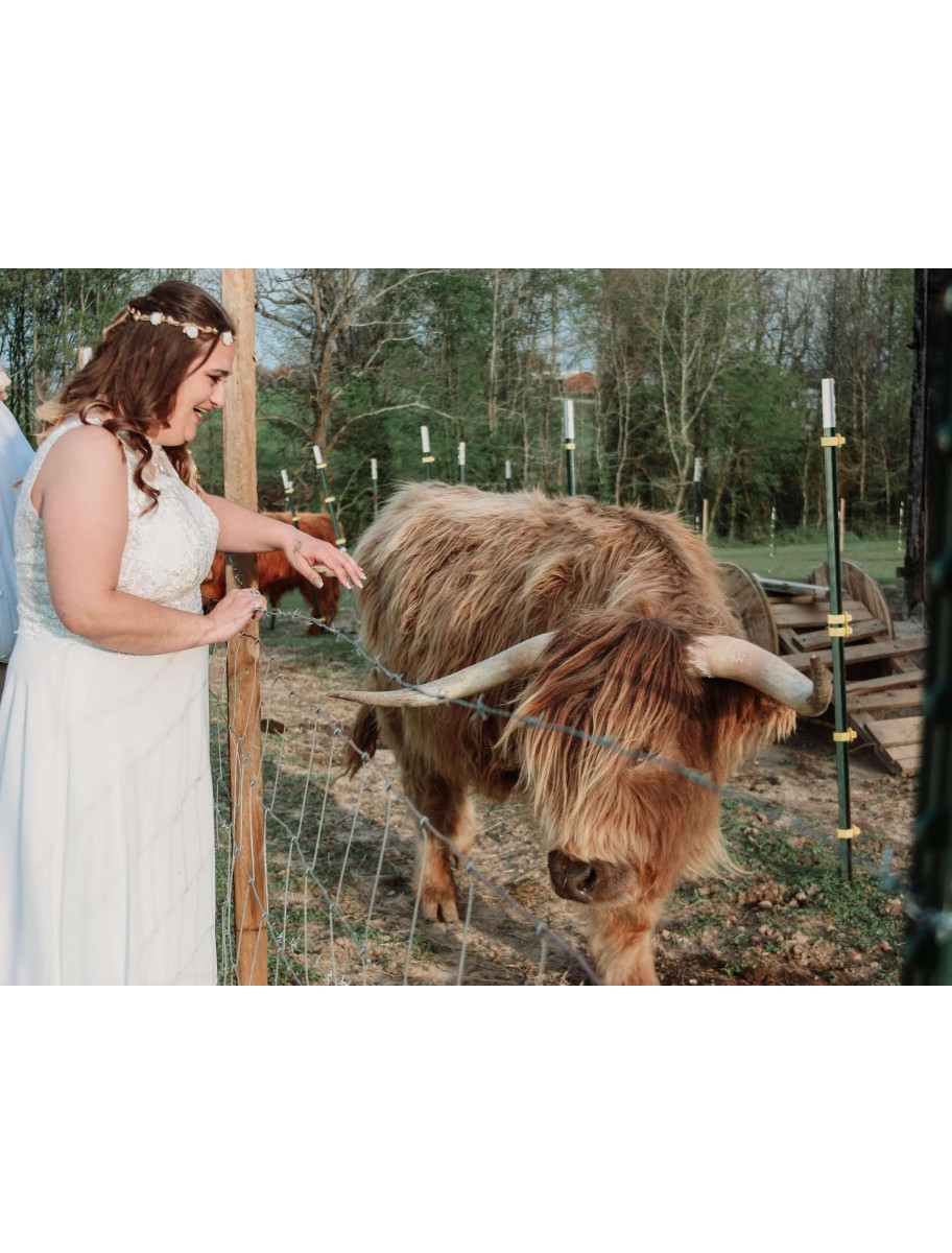 popular-vendors-detail