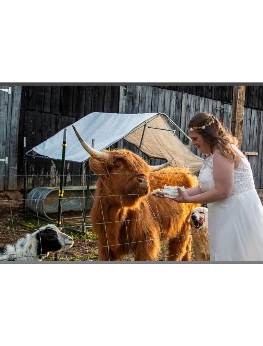 popular-vendors-detail