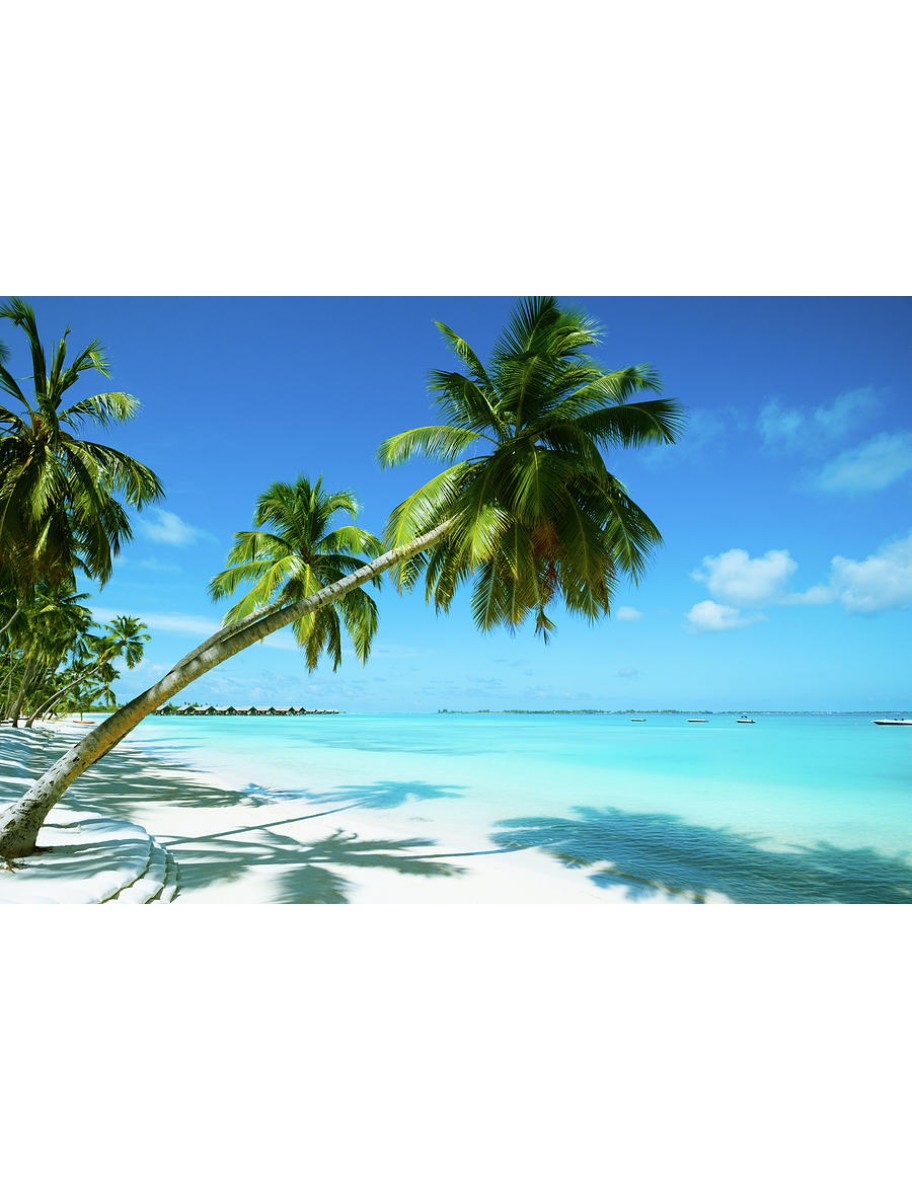 popular-vendors-detail