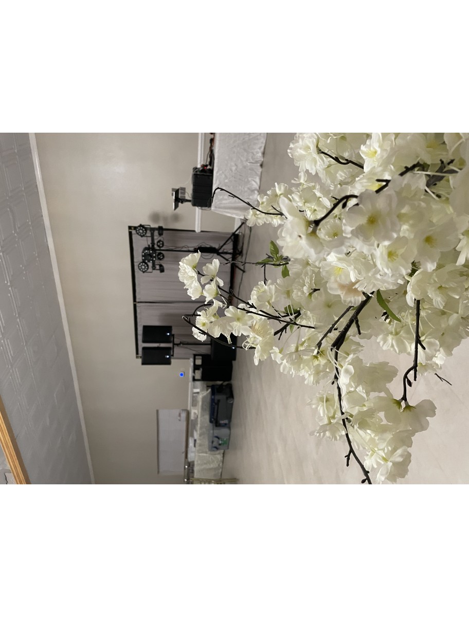 popular-vendors-detail