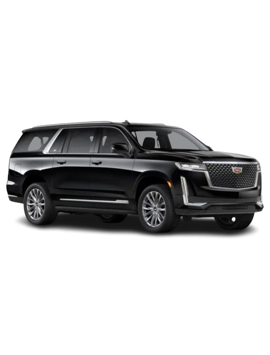 popular-vendors-detail