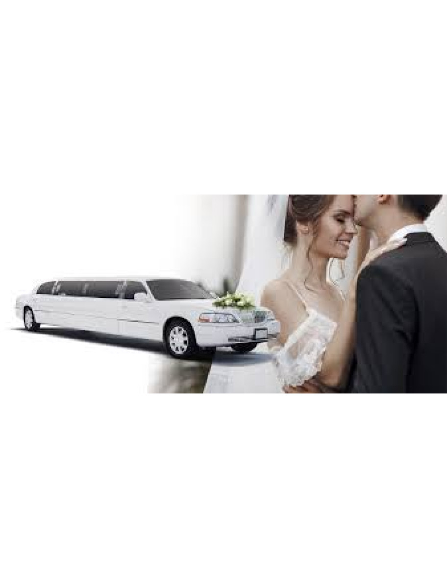 popular-vendors-detail