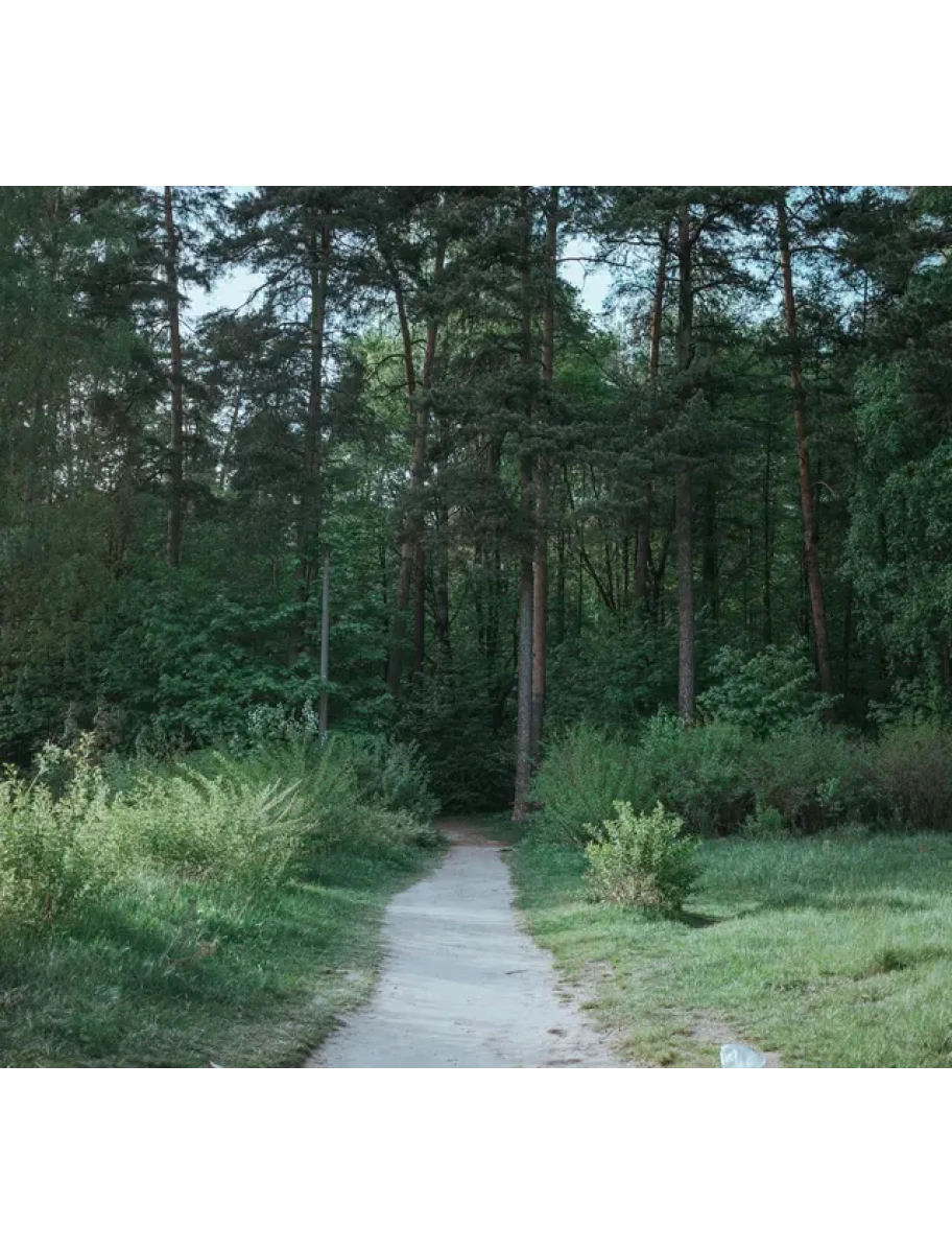 popular-vendors-detail