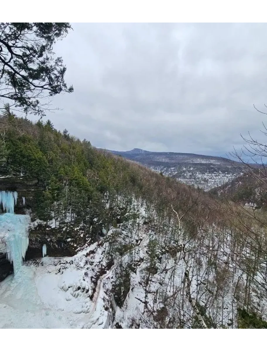 popular-vendors-detail
