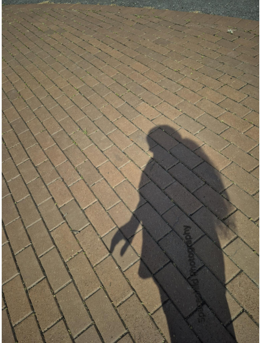 popular-vendors-detail