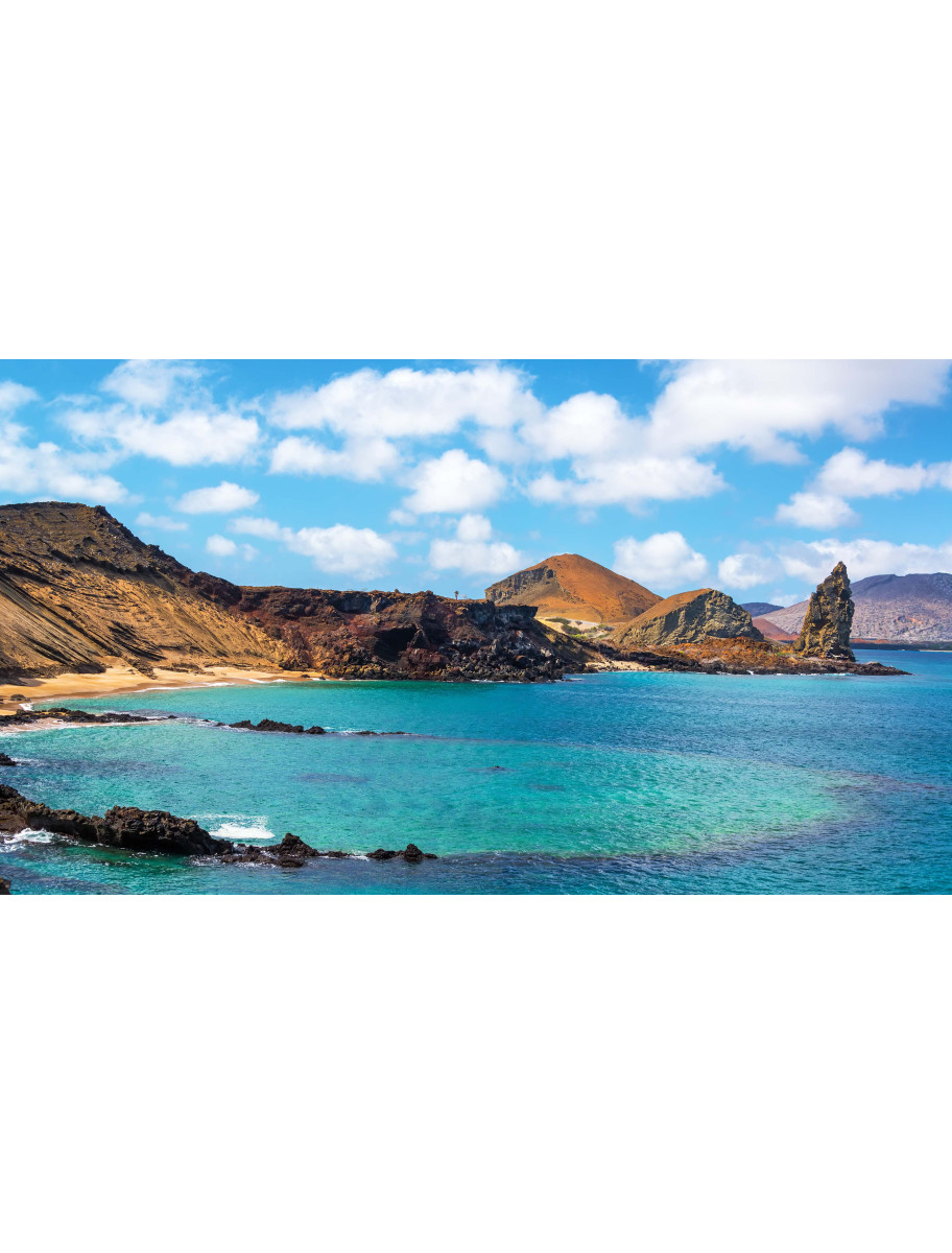 popular-vendors-detail