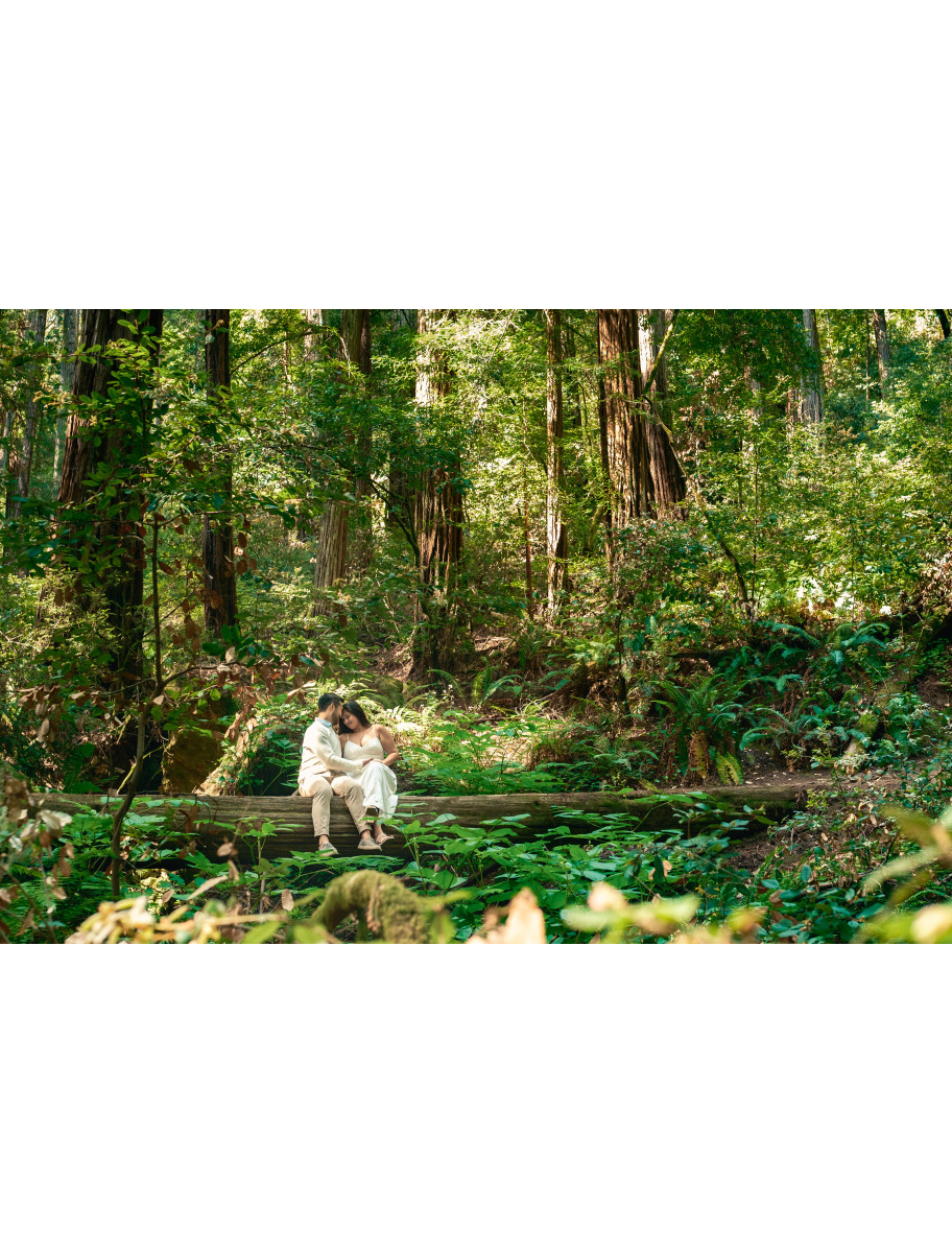 popular-vendors-detail