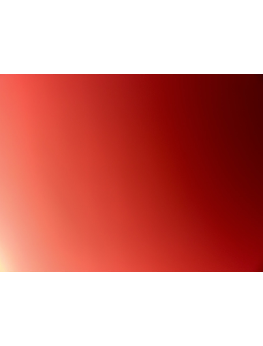 popular-vendors-detail