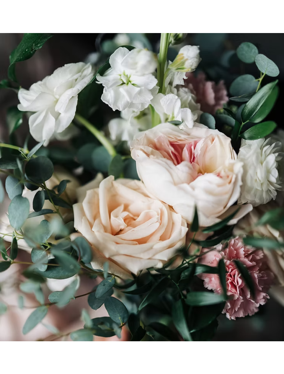 popular-vendors-detail