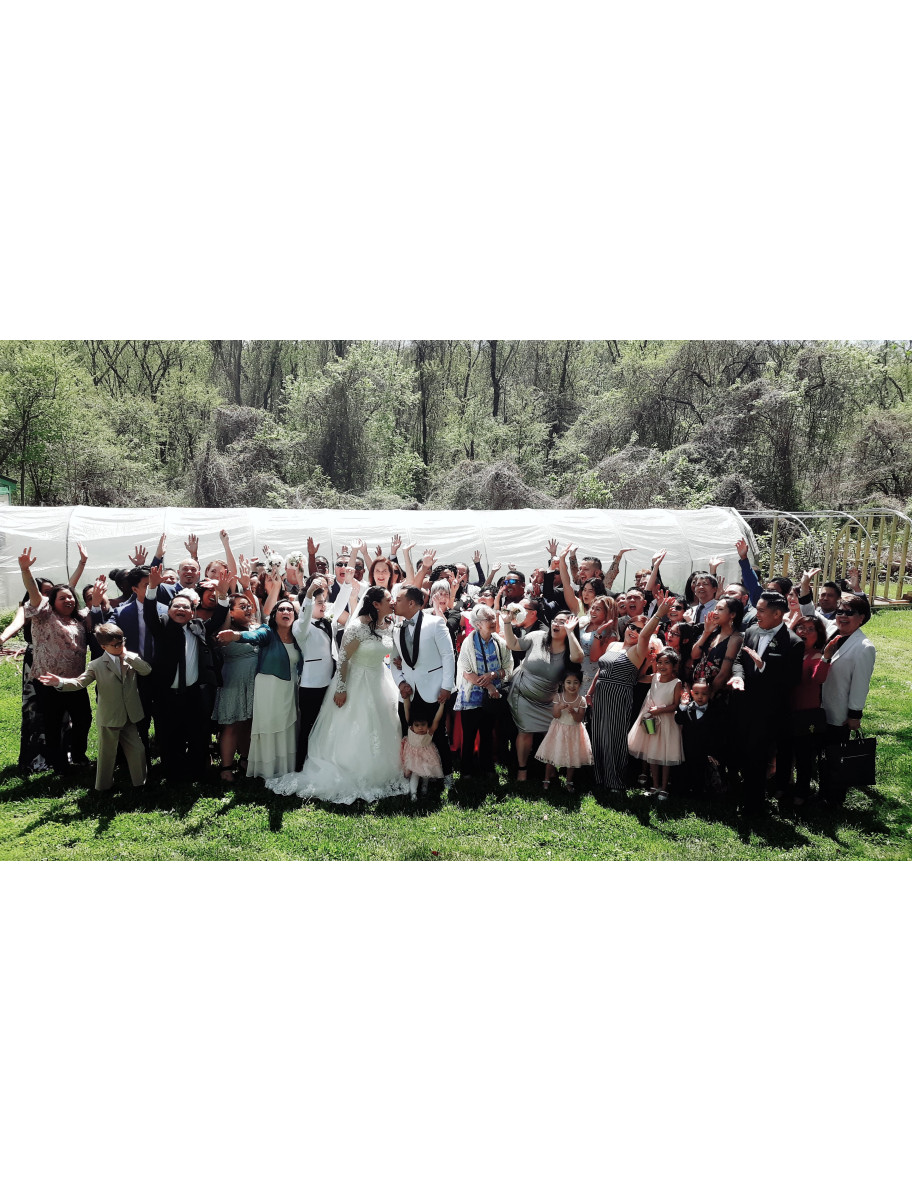 popular-vendors-detail