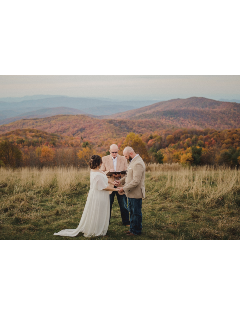 popular-vendors-detail