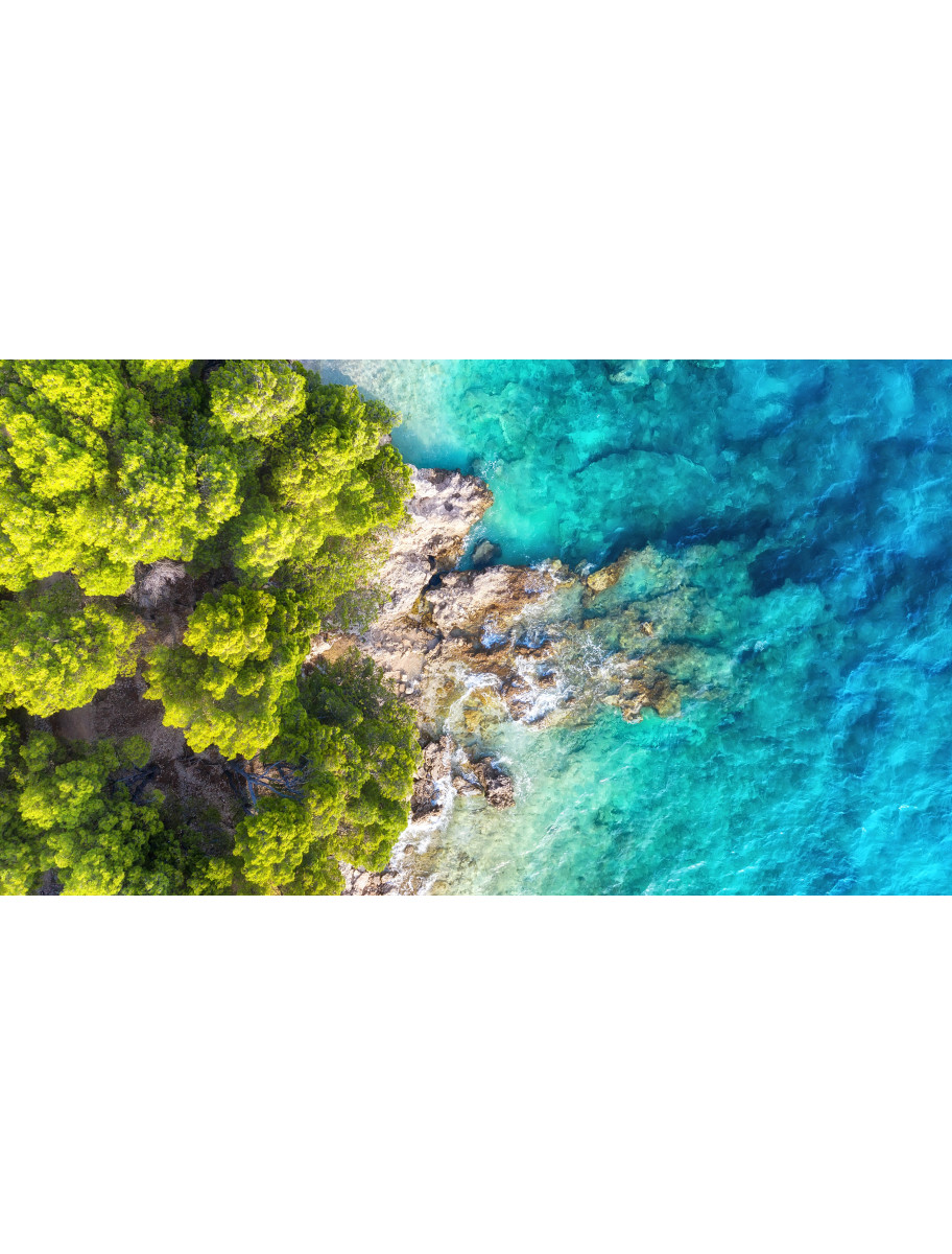 popular-vendors-detail