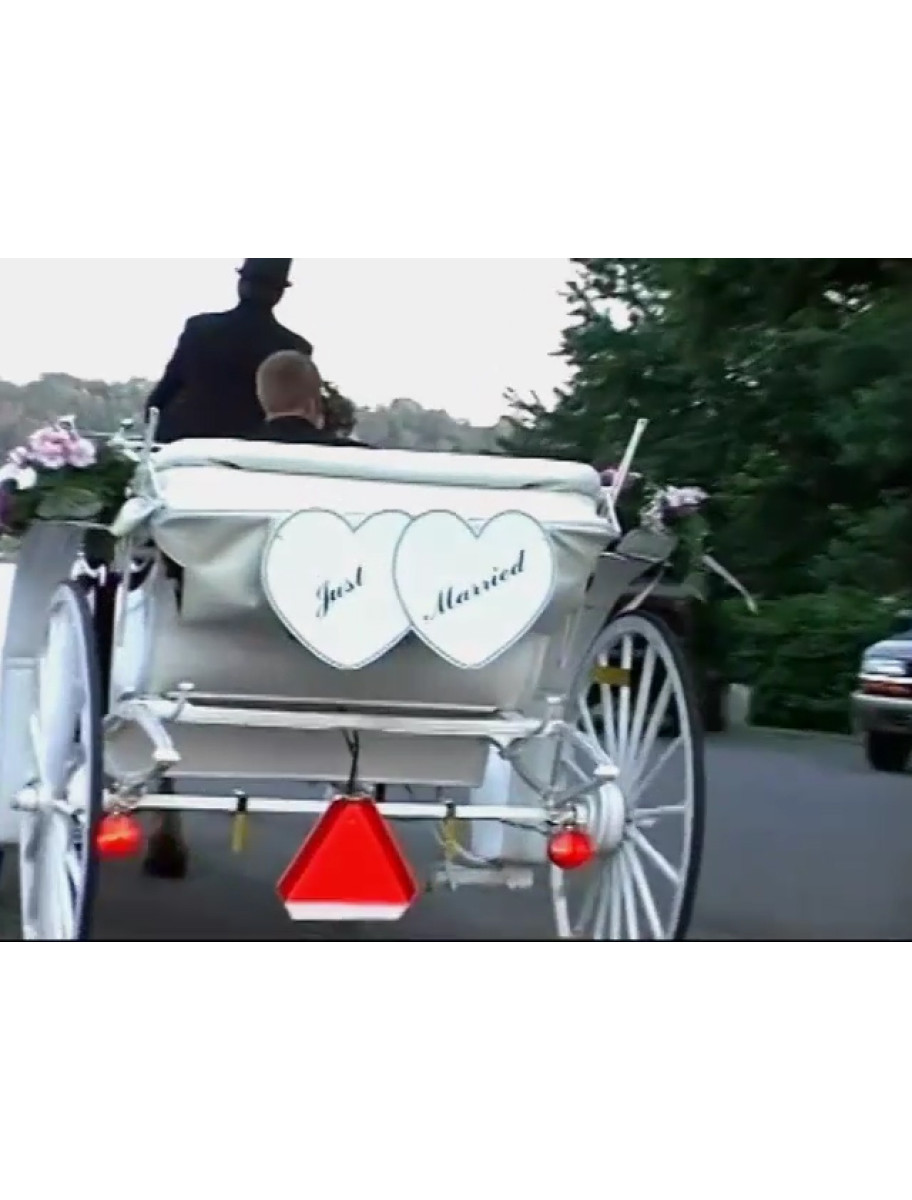 popular-vendors-detail