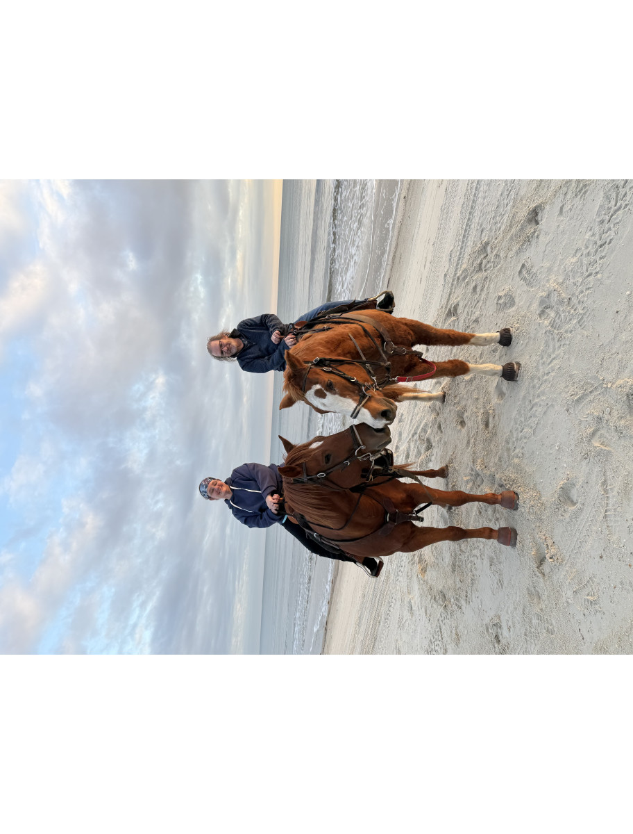 popular-vendors-detail