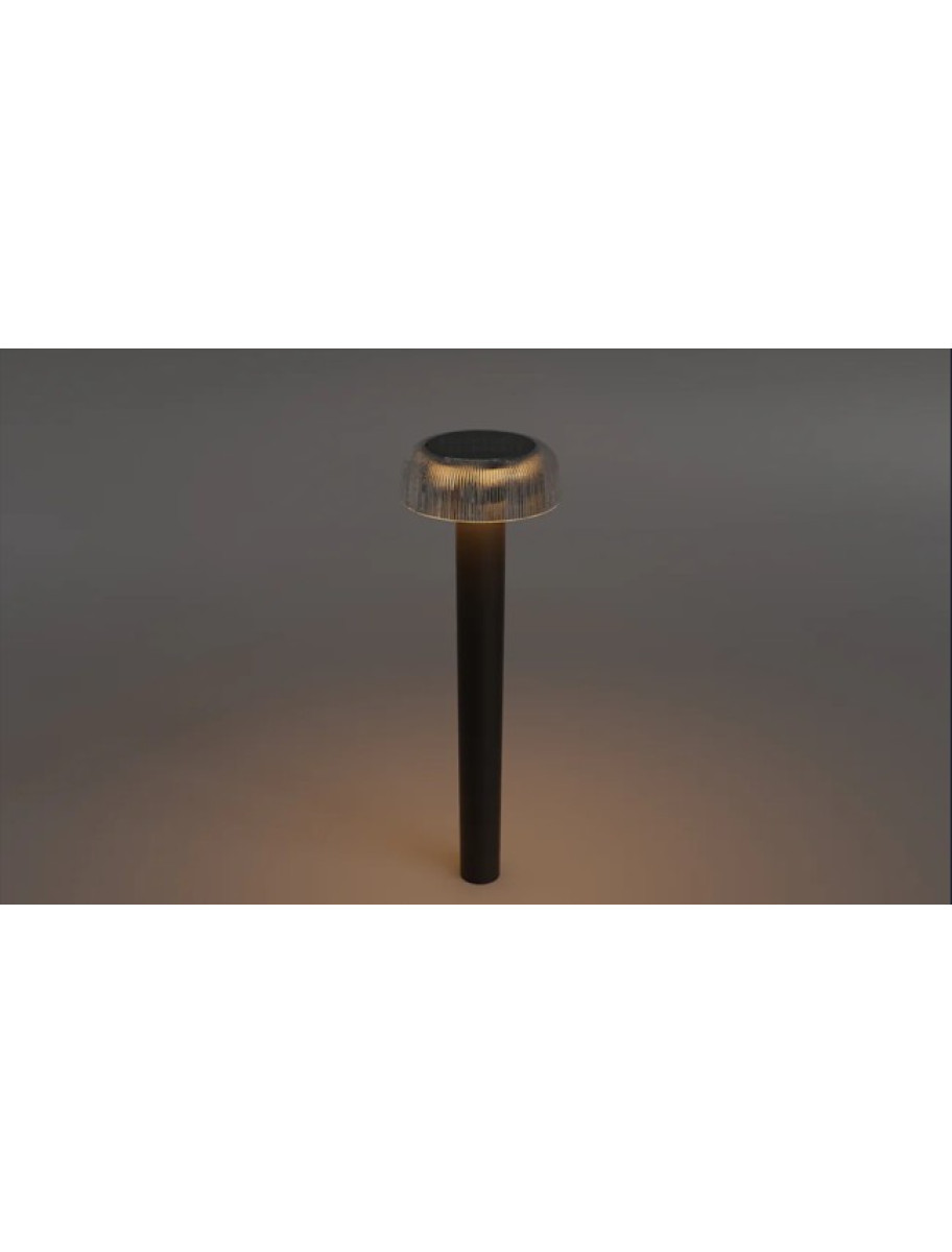 popular-vendors-detail