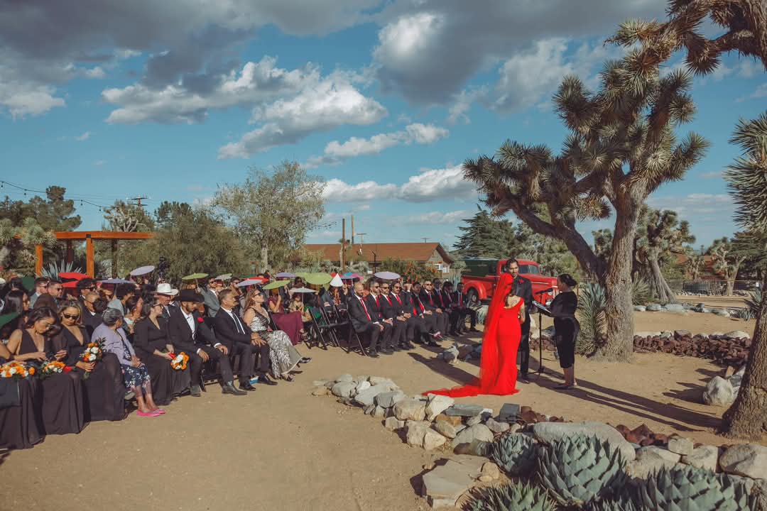 popular-vendors-detail